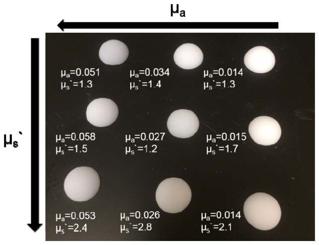 Fig. 2