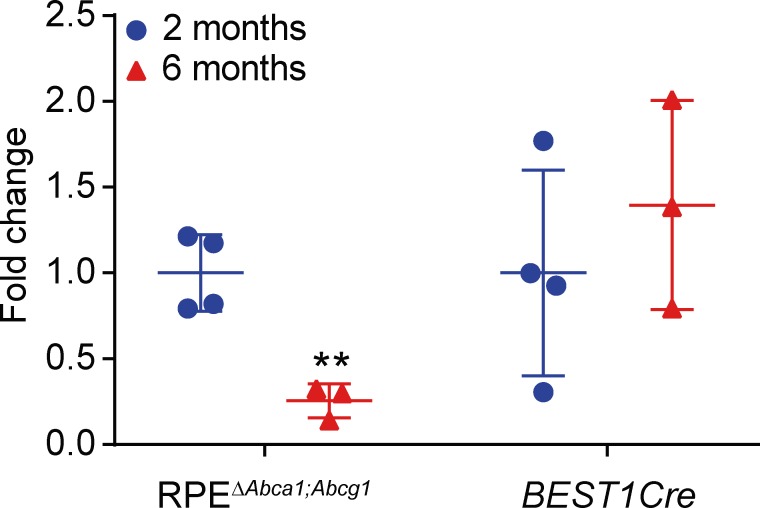 Figure 3—figure supplement 1.