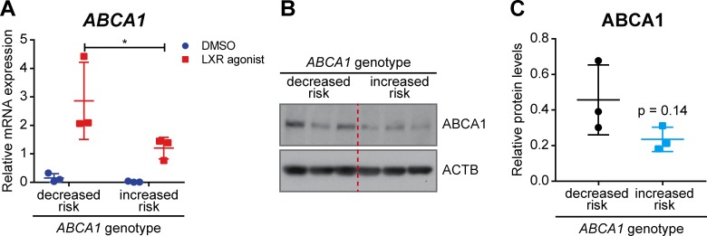 Figure 11.