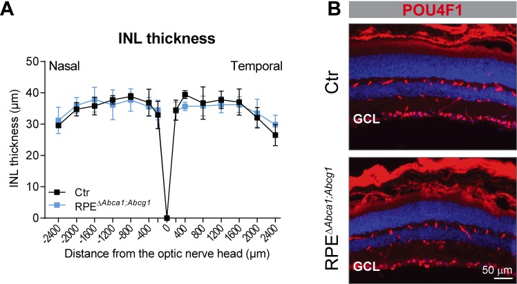 Figure 7—figure supplement 1.