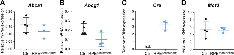 Figure 1—figure supplement 2.