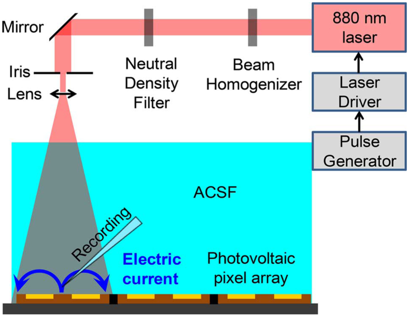 Fig. 3.