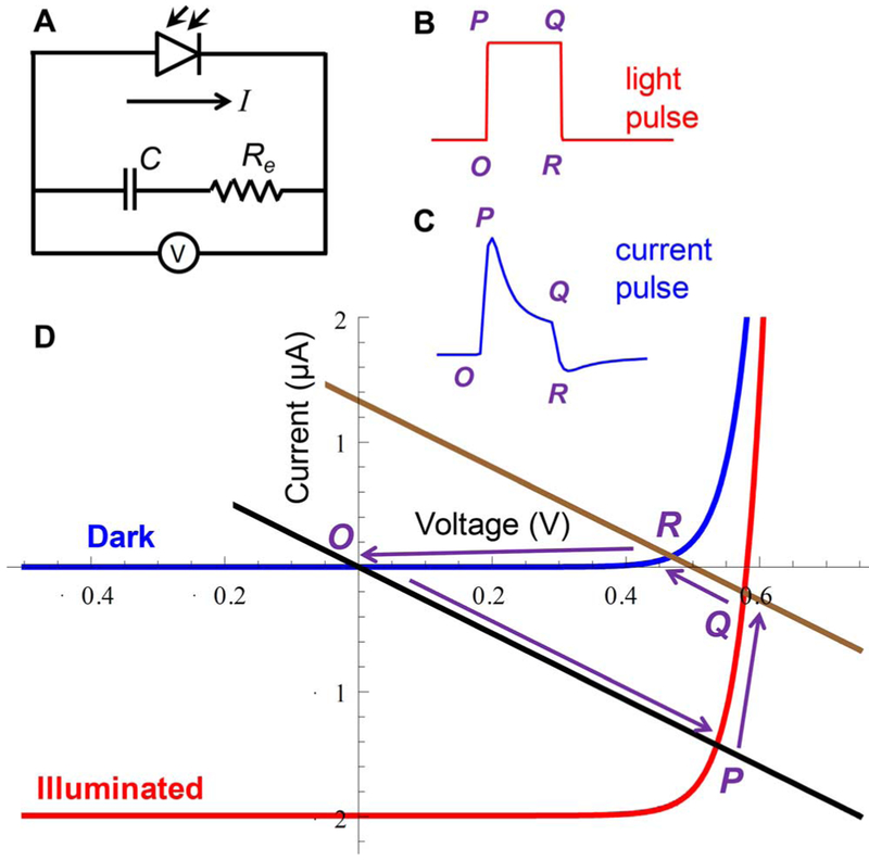 Fig. 8.