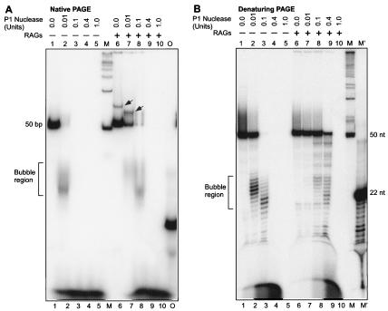 FIG. 10.