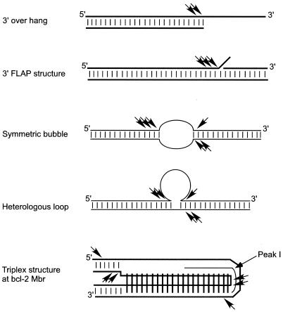 FIG. 11.