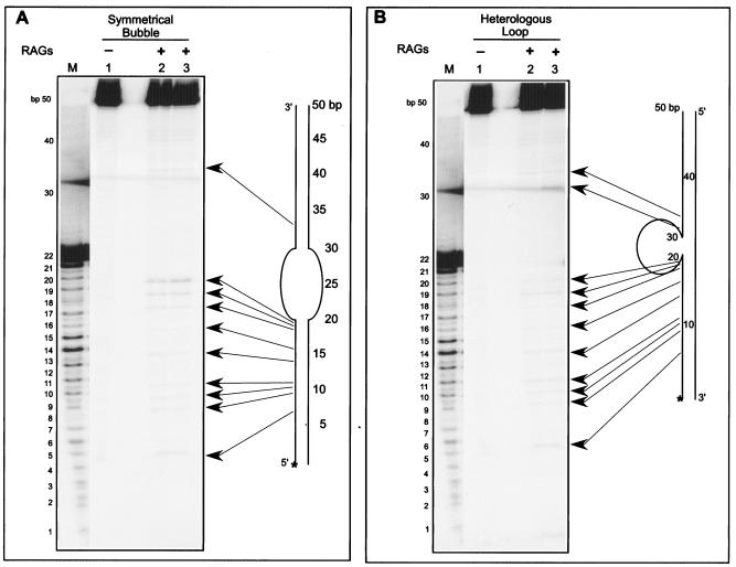 FIG. 5.