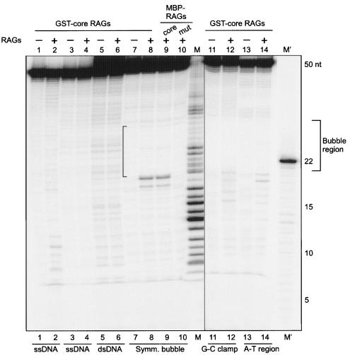 FIG. 6.