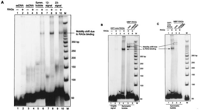 FIG. 9.