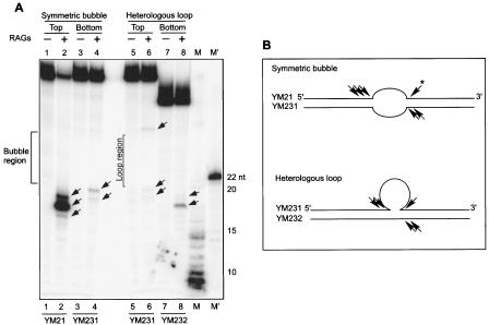 FIG. 7.