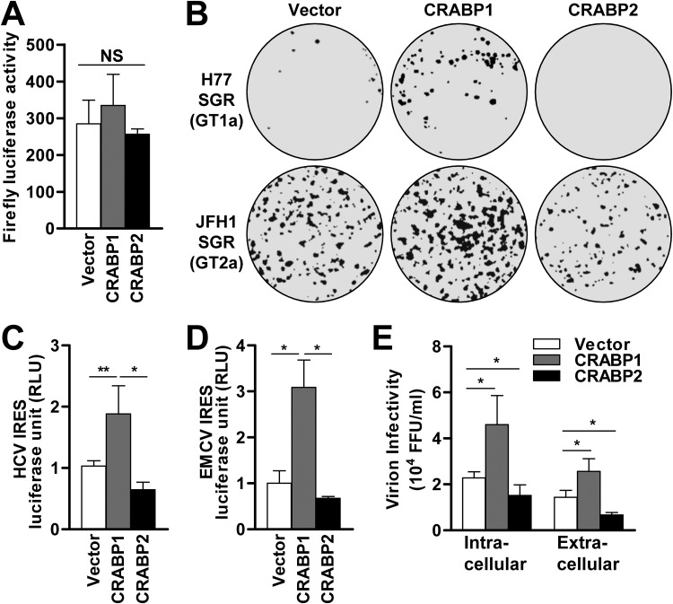 FIG 2