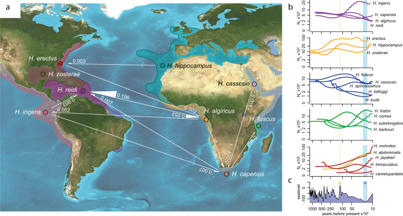 Fig. 3