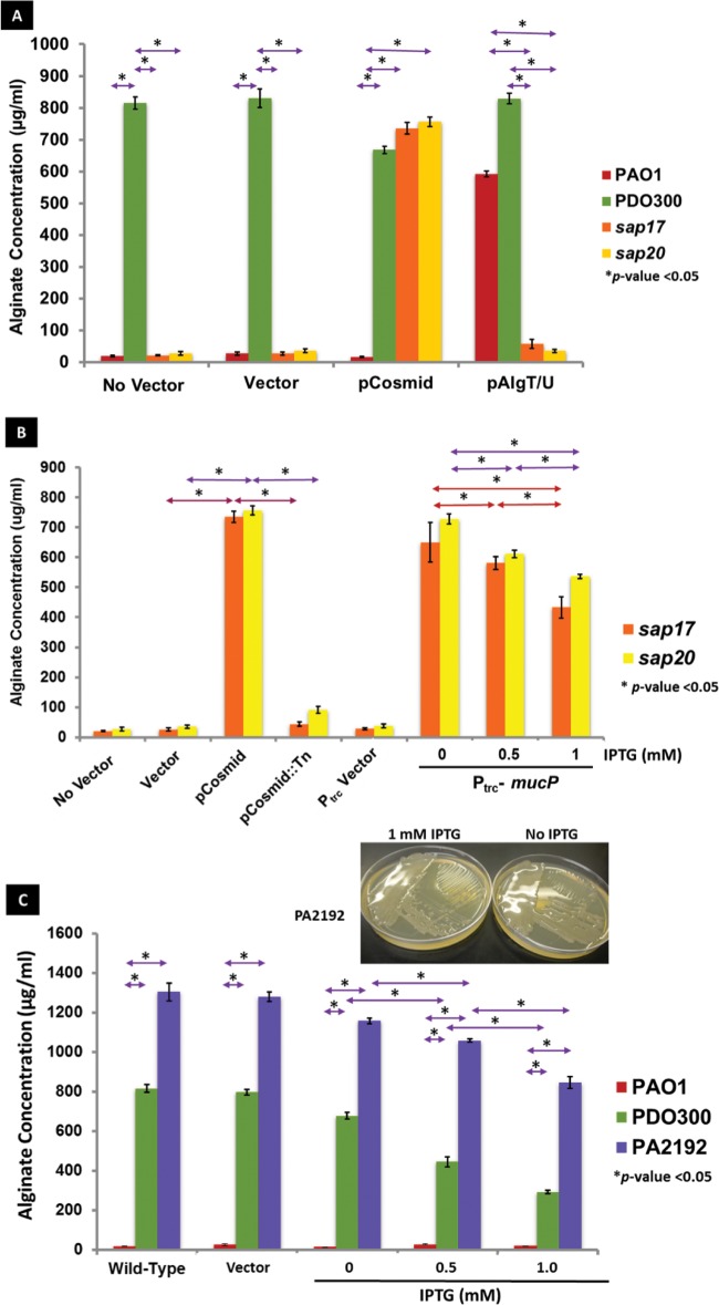 FIG 3