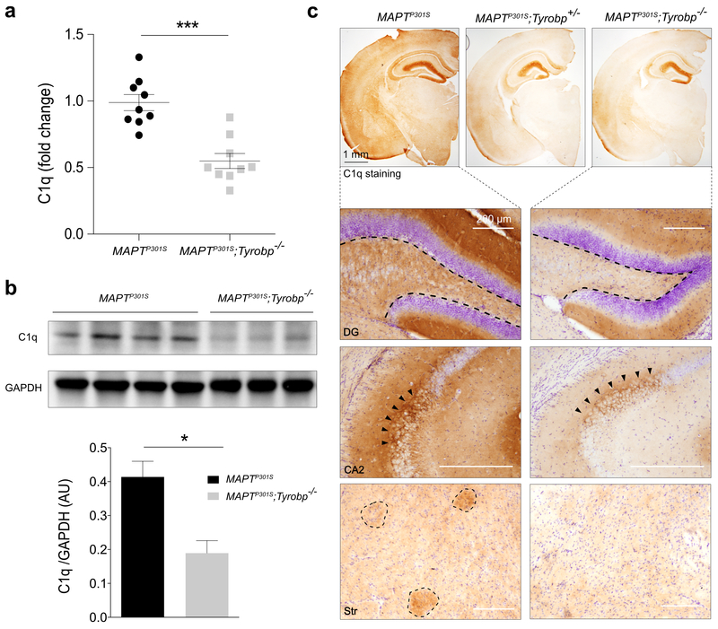 Figure 4: