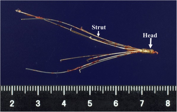 Fig. 6