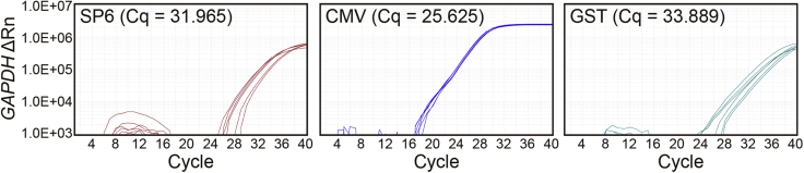 Figure 6