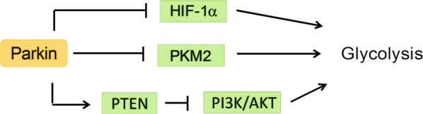 Fig. 5