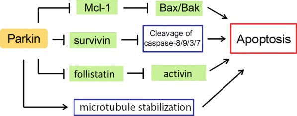 Fig. 3