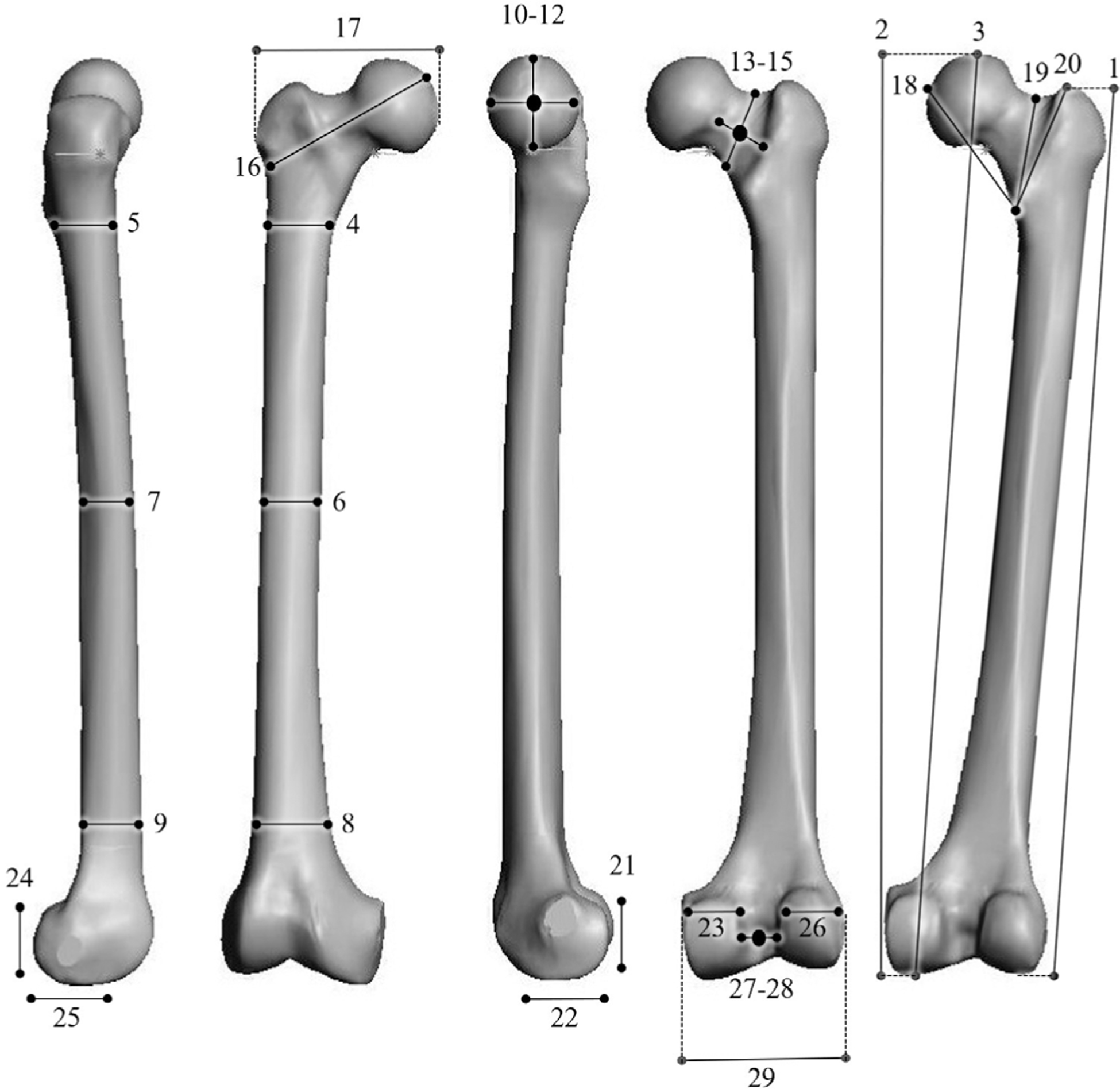 FIGURE 2