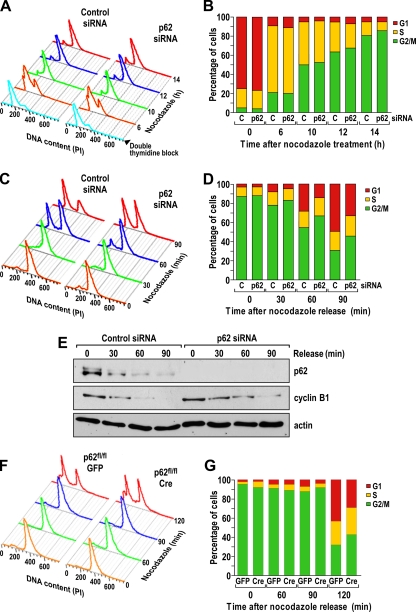 FIG. 13.