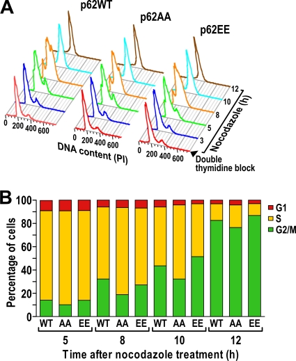 FIG. 10.