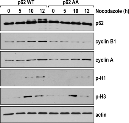 FIG. 7.