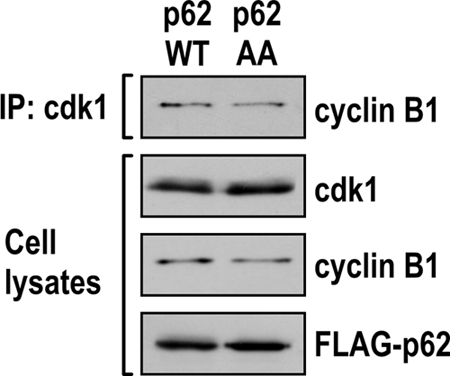 FIG. 8.