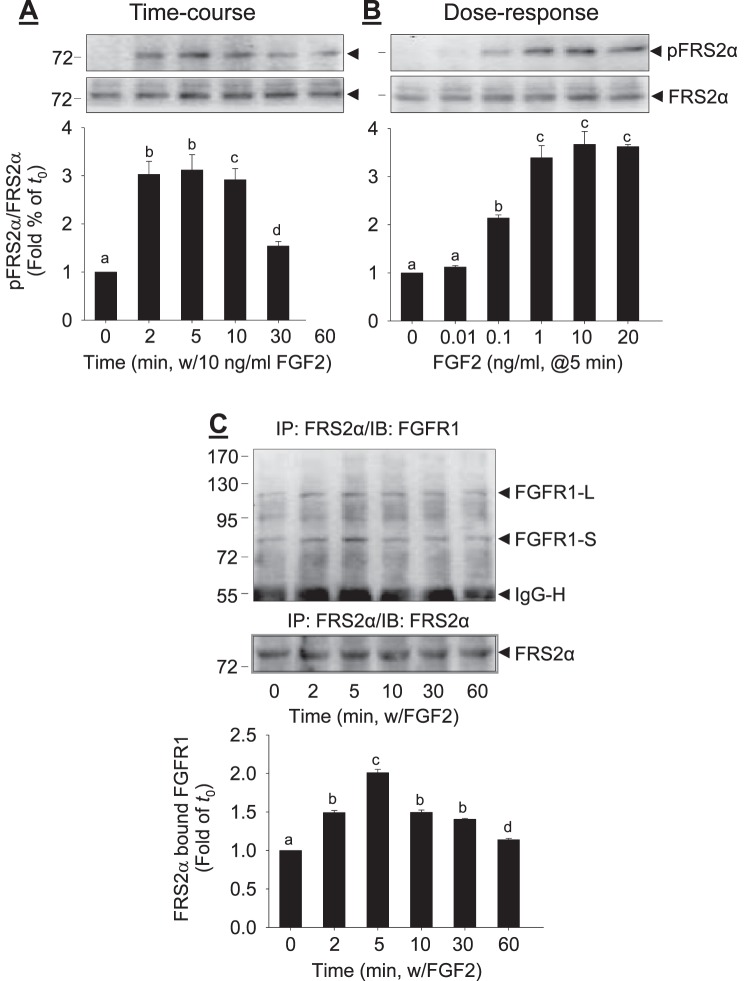 FIG. 1. 