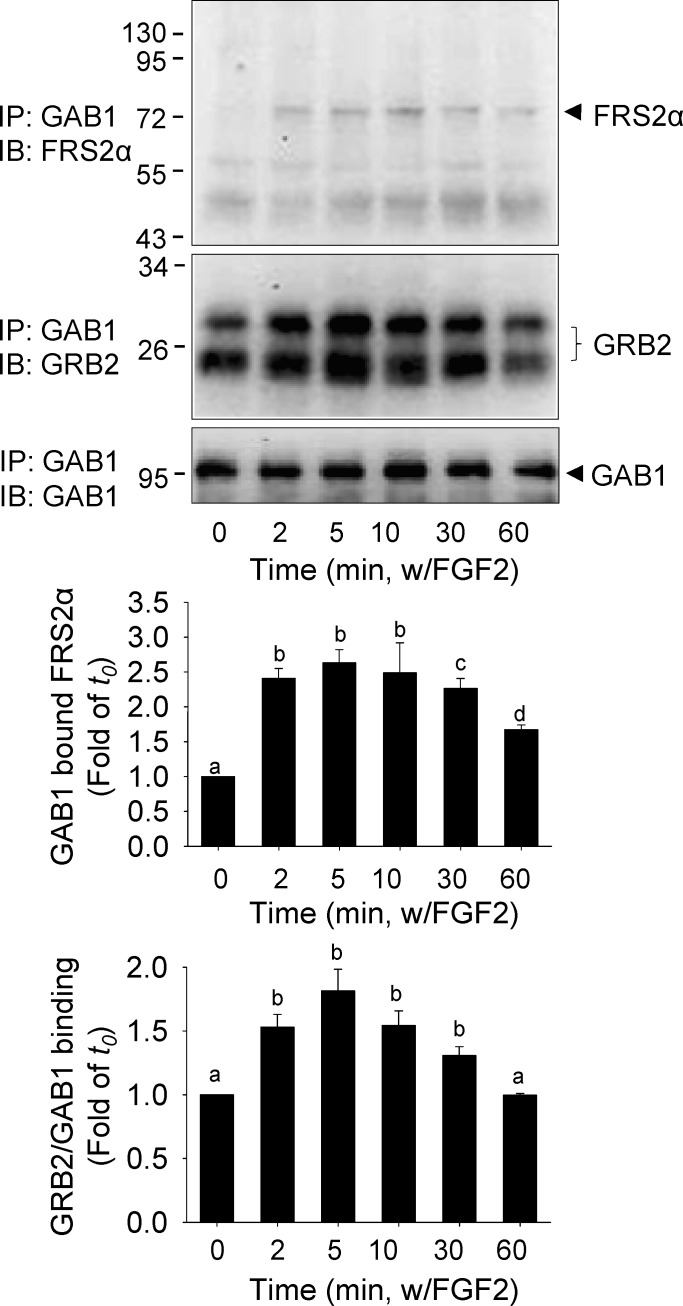 FIG. 2. 