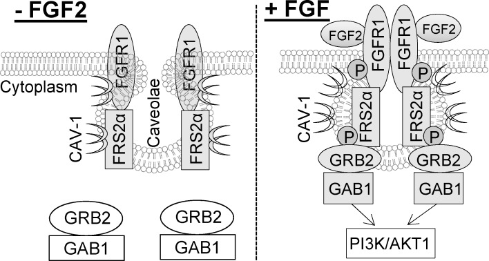 FIG. 7. 