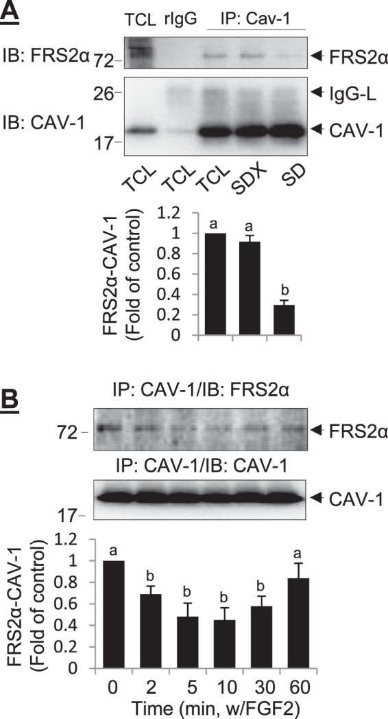 FIG. 4. 