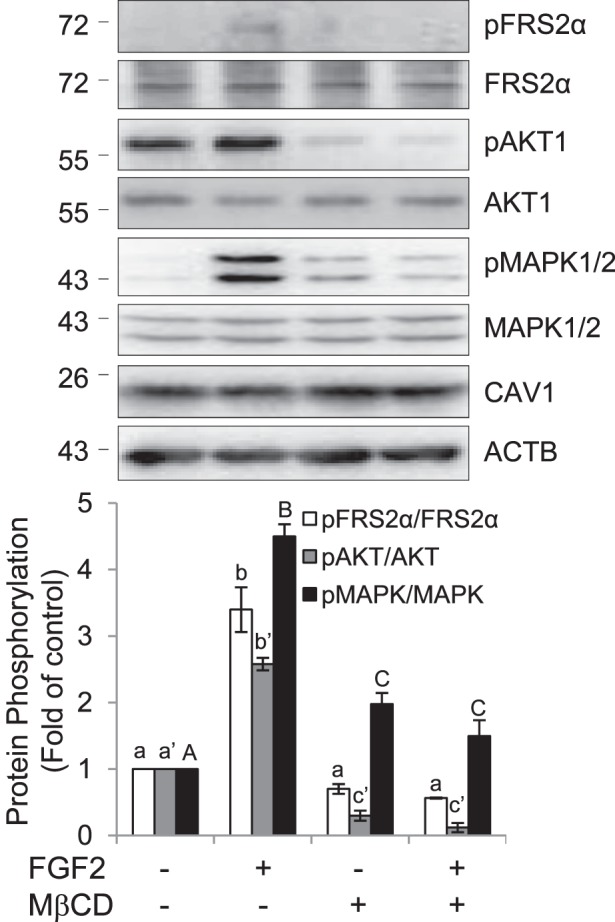 FIG. 6. 