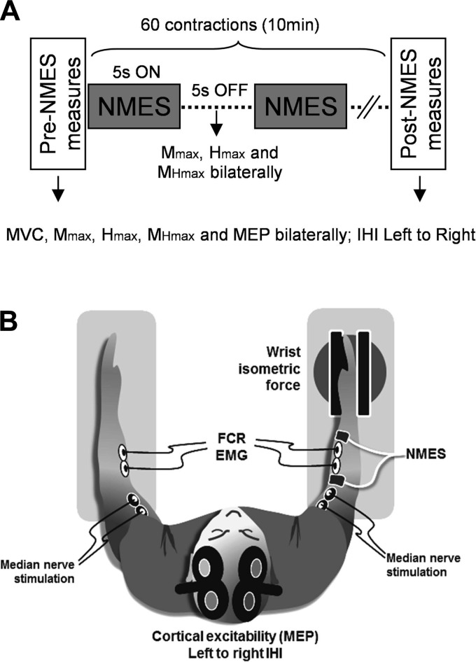 Fig. 1.