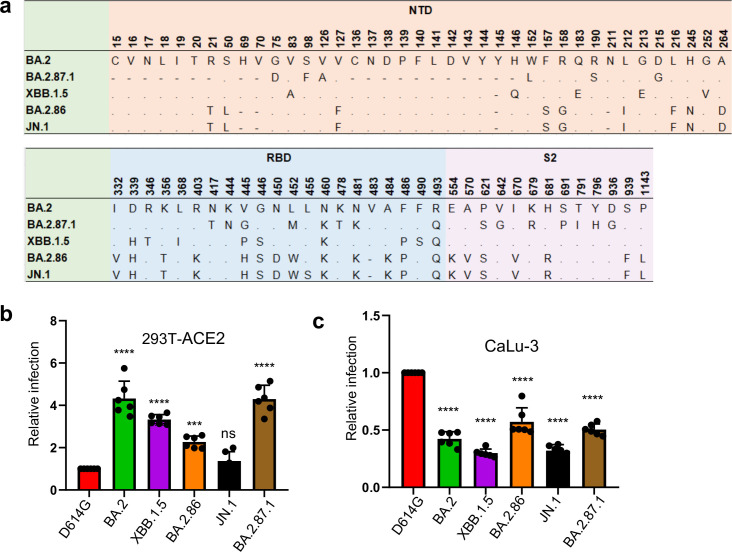 The numbering of relevant mutants for BA 2, BA 2.87.1, XBB 1.5, BA 2.86, and JN 1, and the greater infectious nature of the B 2 variety than D 614 G and JN variety are illustrated in respective illustrations.