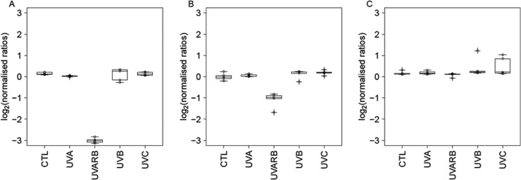 Fig 5