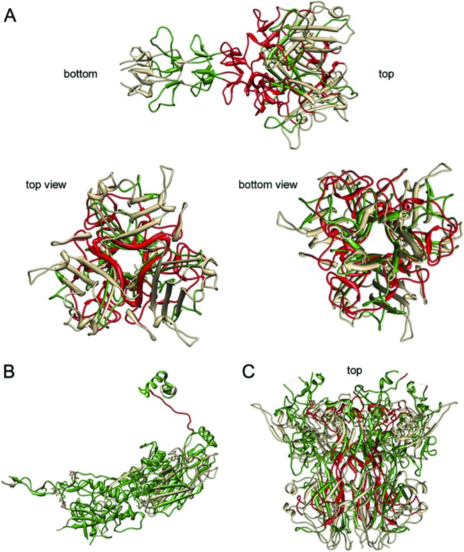 Fig 7