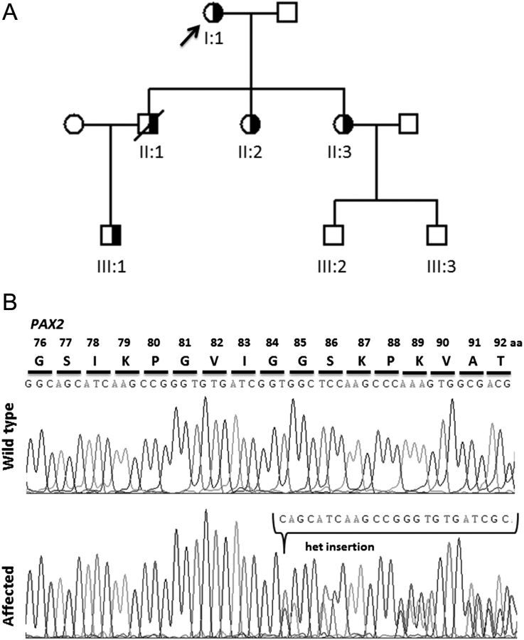 Fig. 1.