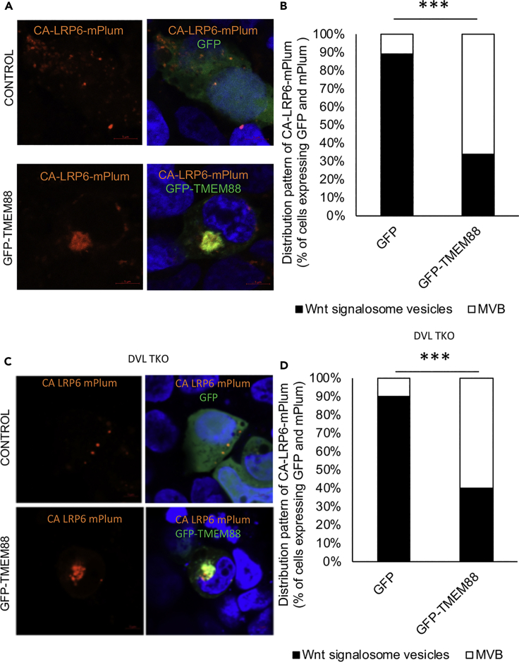 Figure 6