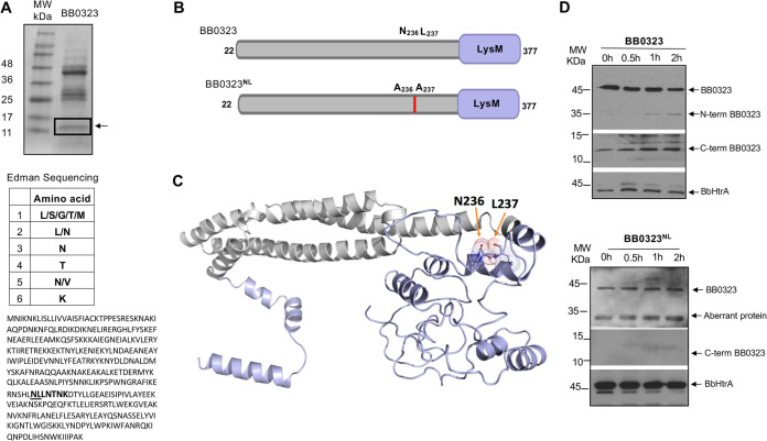 FIG 1