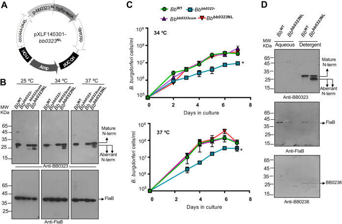 FIG 3