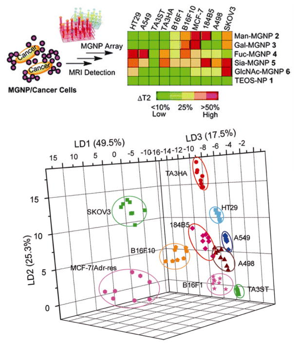 Figure 19