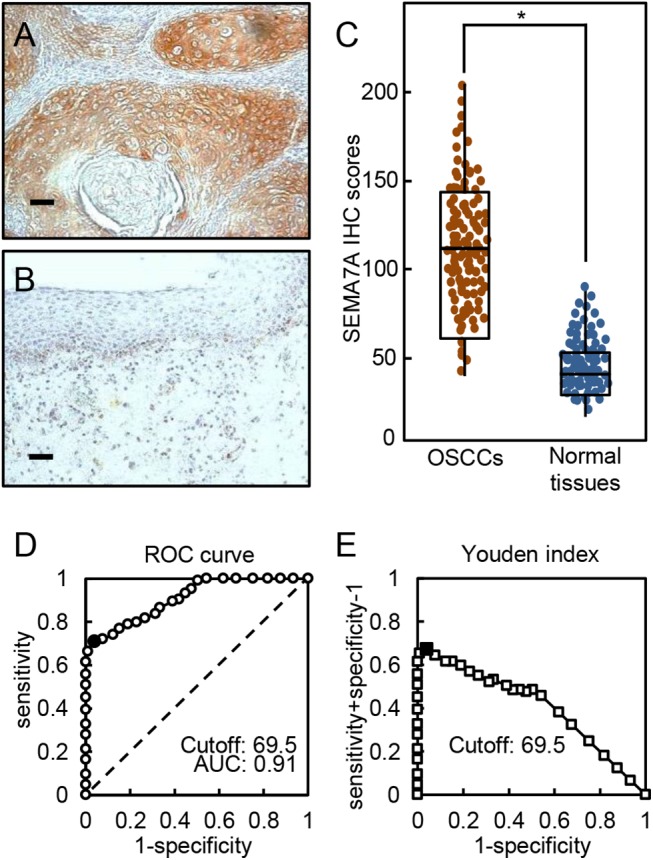 Fig 10