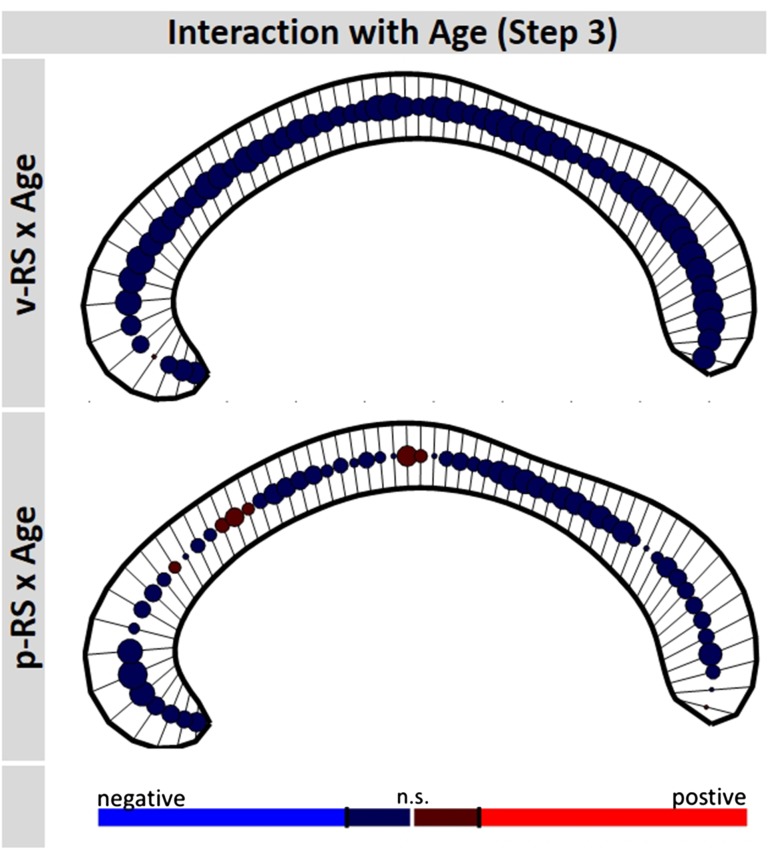 Fig. 6