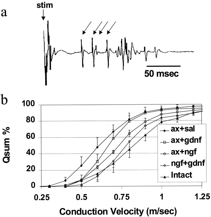 Fig. 9.