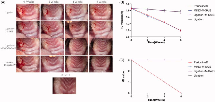 Figure 6.