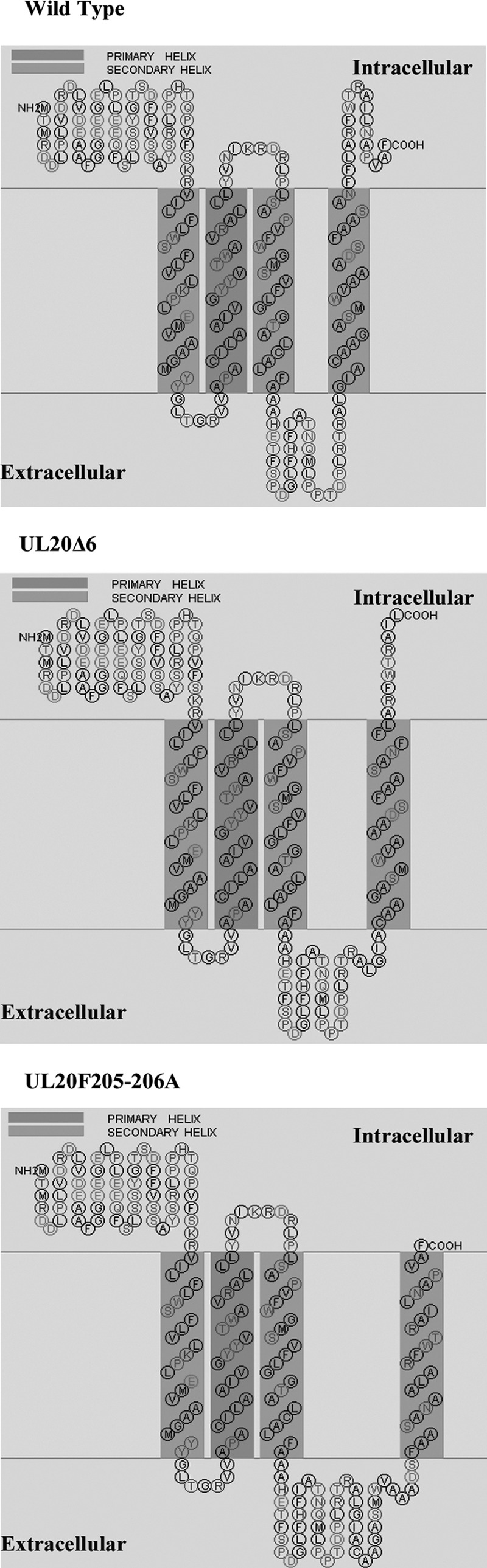 FIG 9