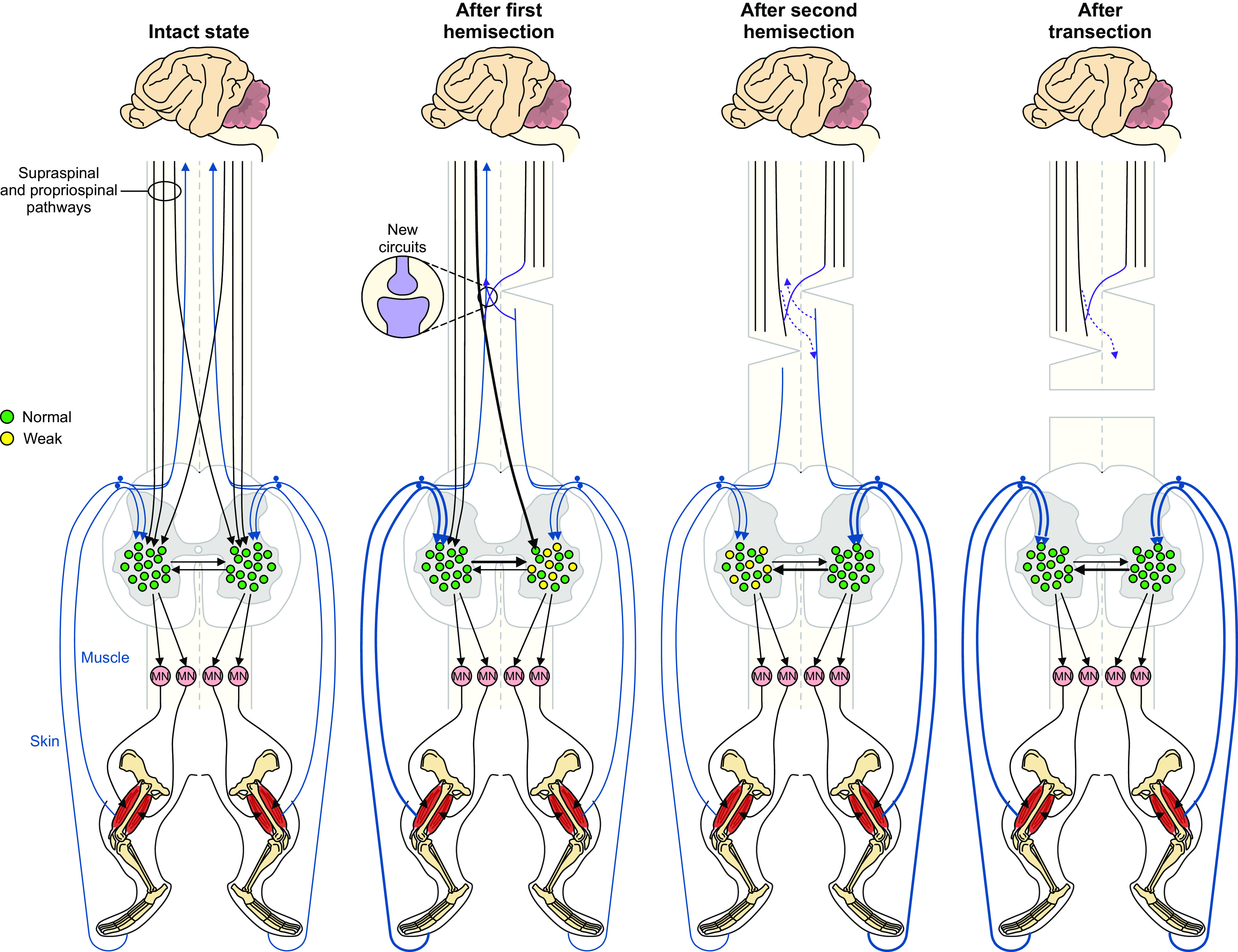 Figure 9.