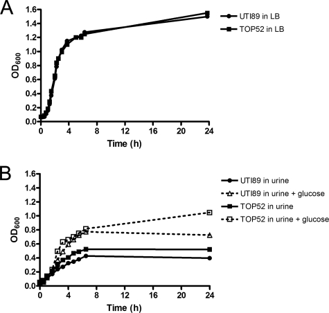 FIG. 7.