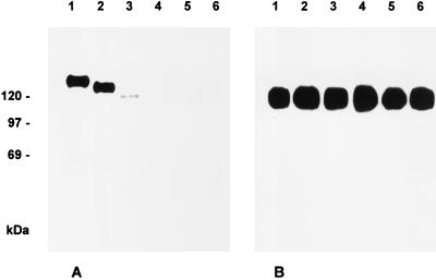 FIG. 8