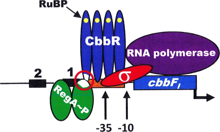 FIG 6