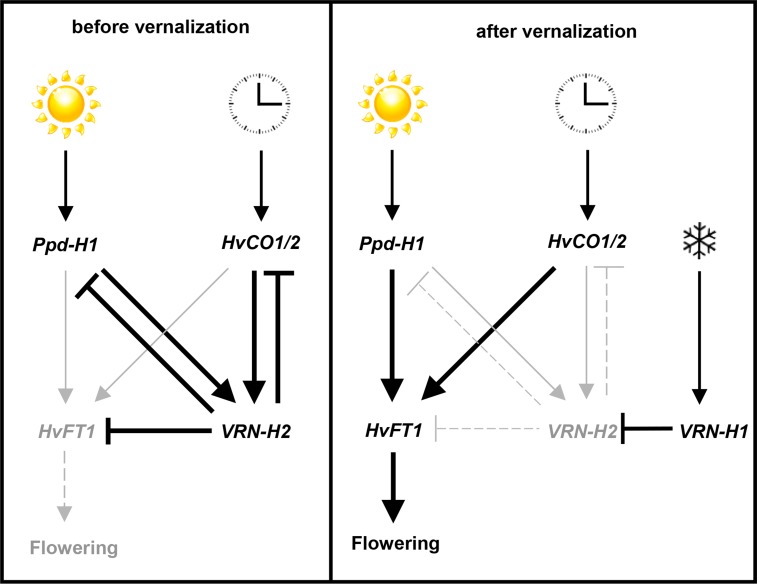 Figure 7.